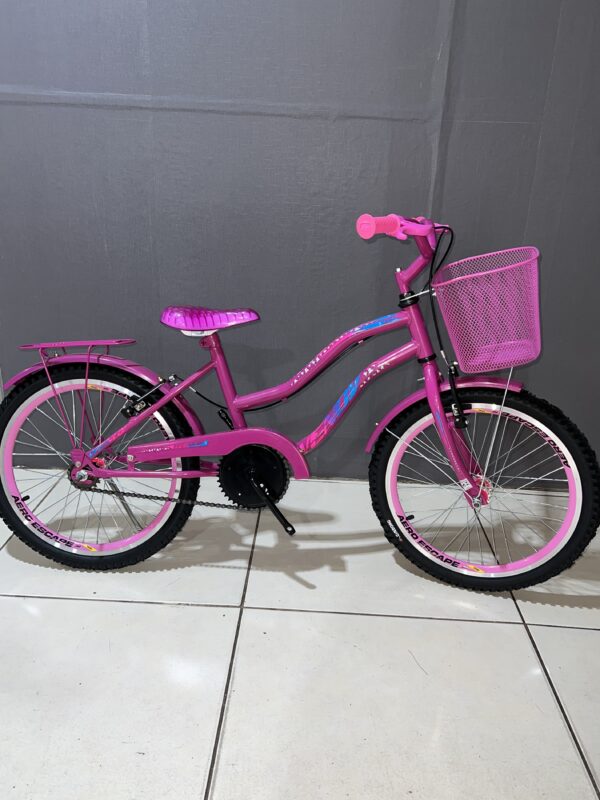 Bicicleta aro 20 Flowers - Roda aero