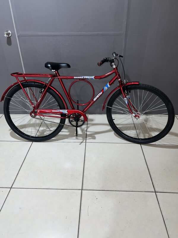 Bicicleta Aro 26 Terra Forte