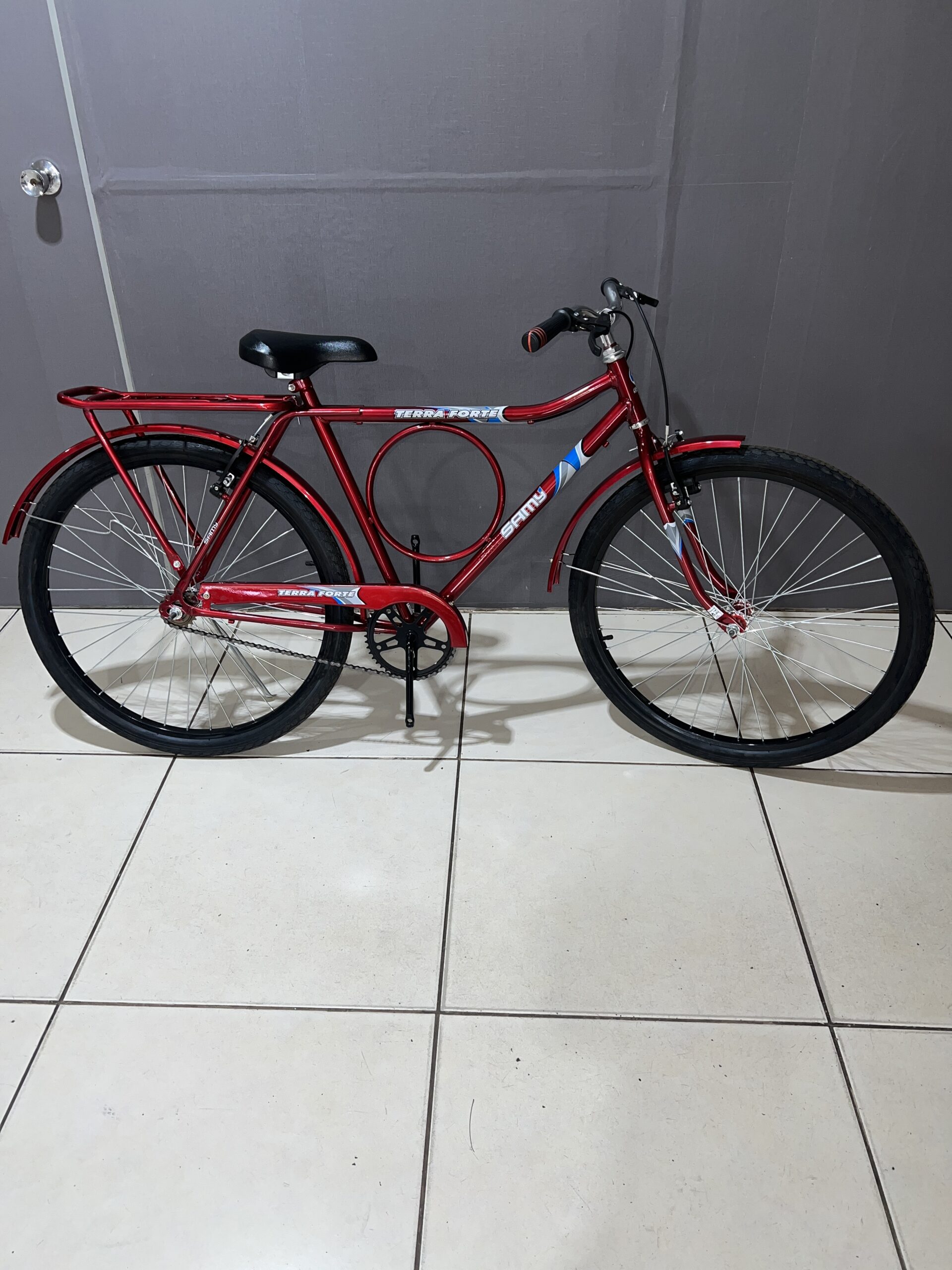 Bicicleta Aro 26 Terra forte