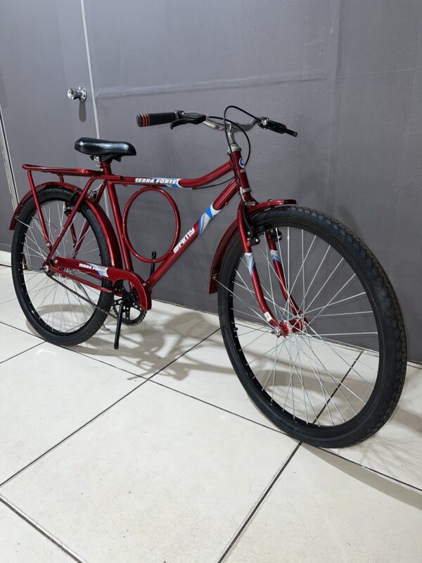 Bicicleta Aro 26 Terra Forte - Imagem 2
