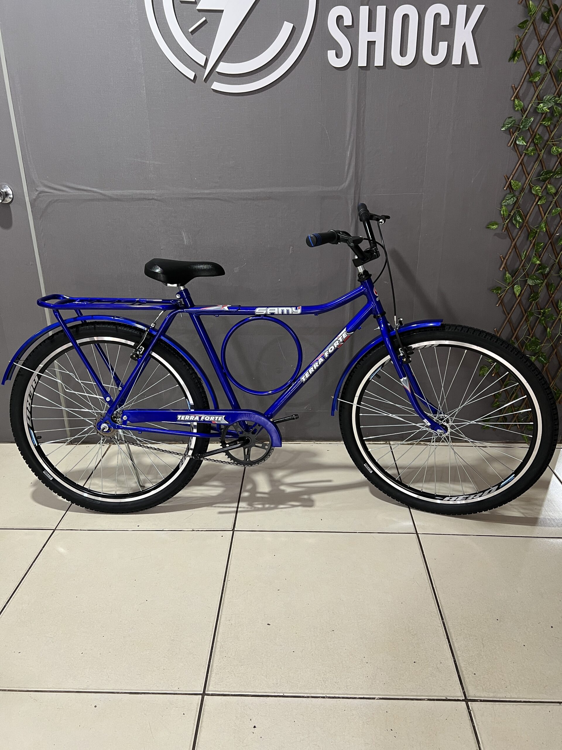 Bicicleta Aro 26 Terra Forte