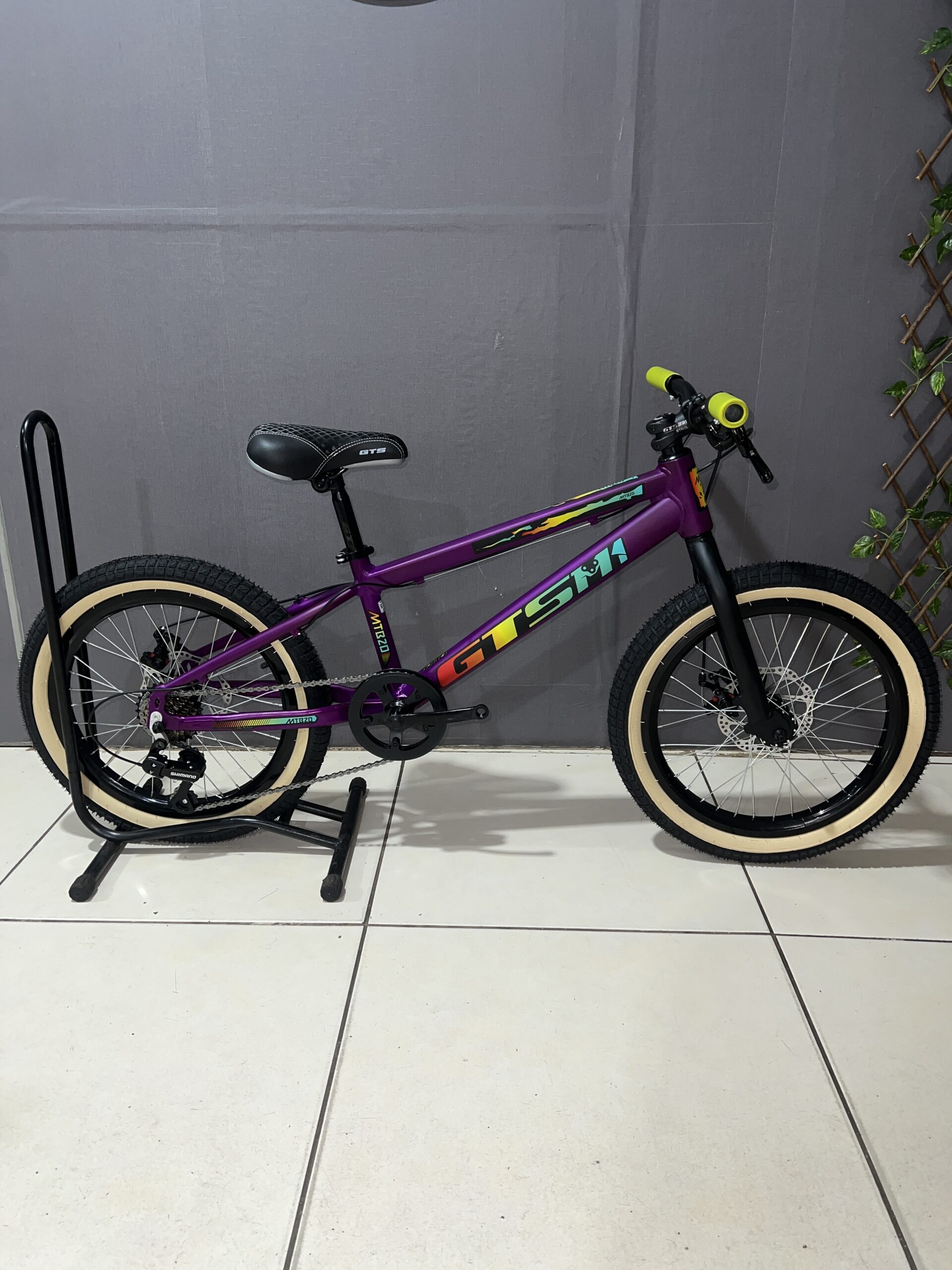 Bicicleta Aro 20 GTS M1