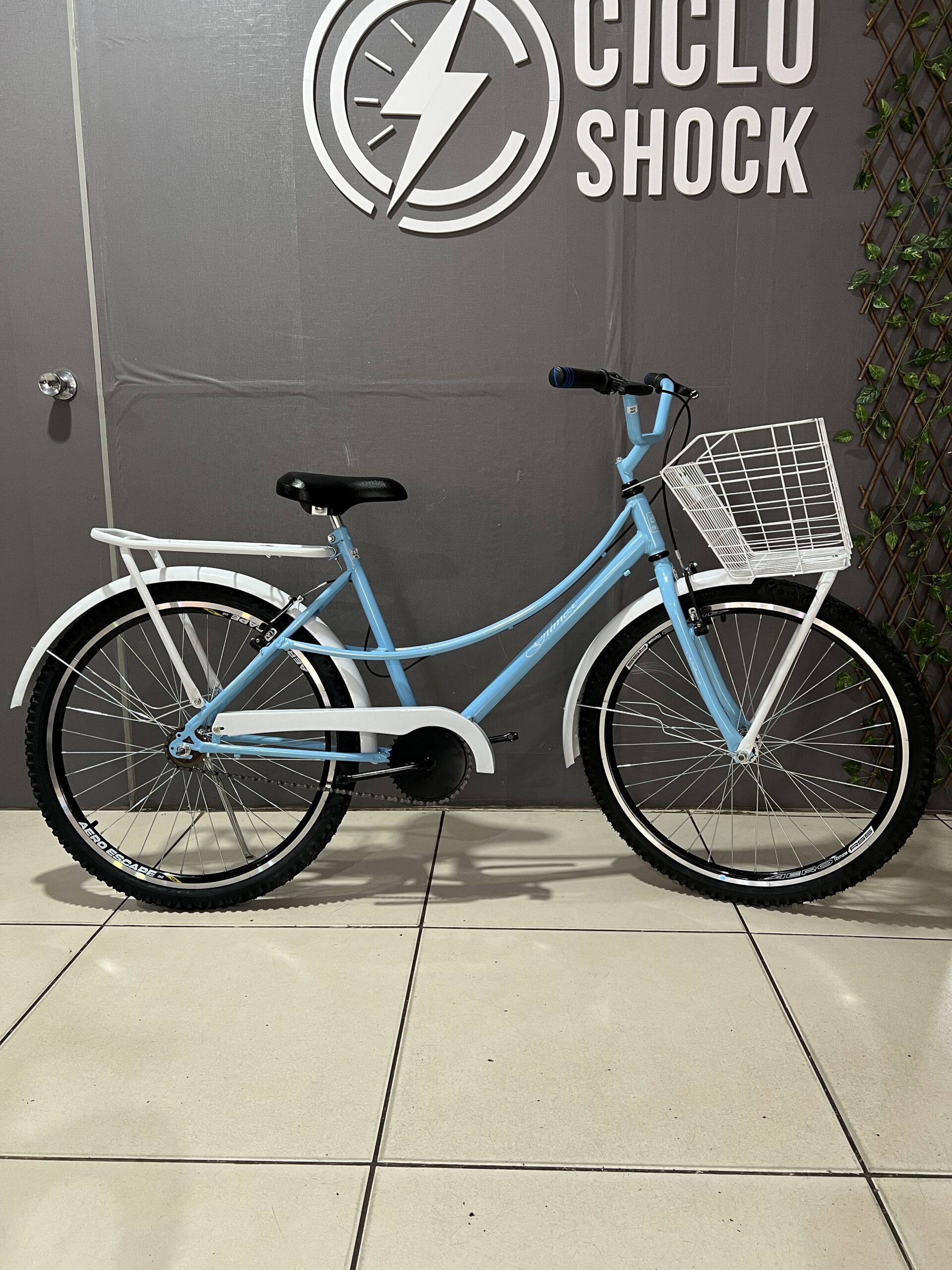 Bicicleta Aro 26 Retrô Gilmex Rios