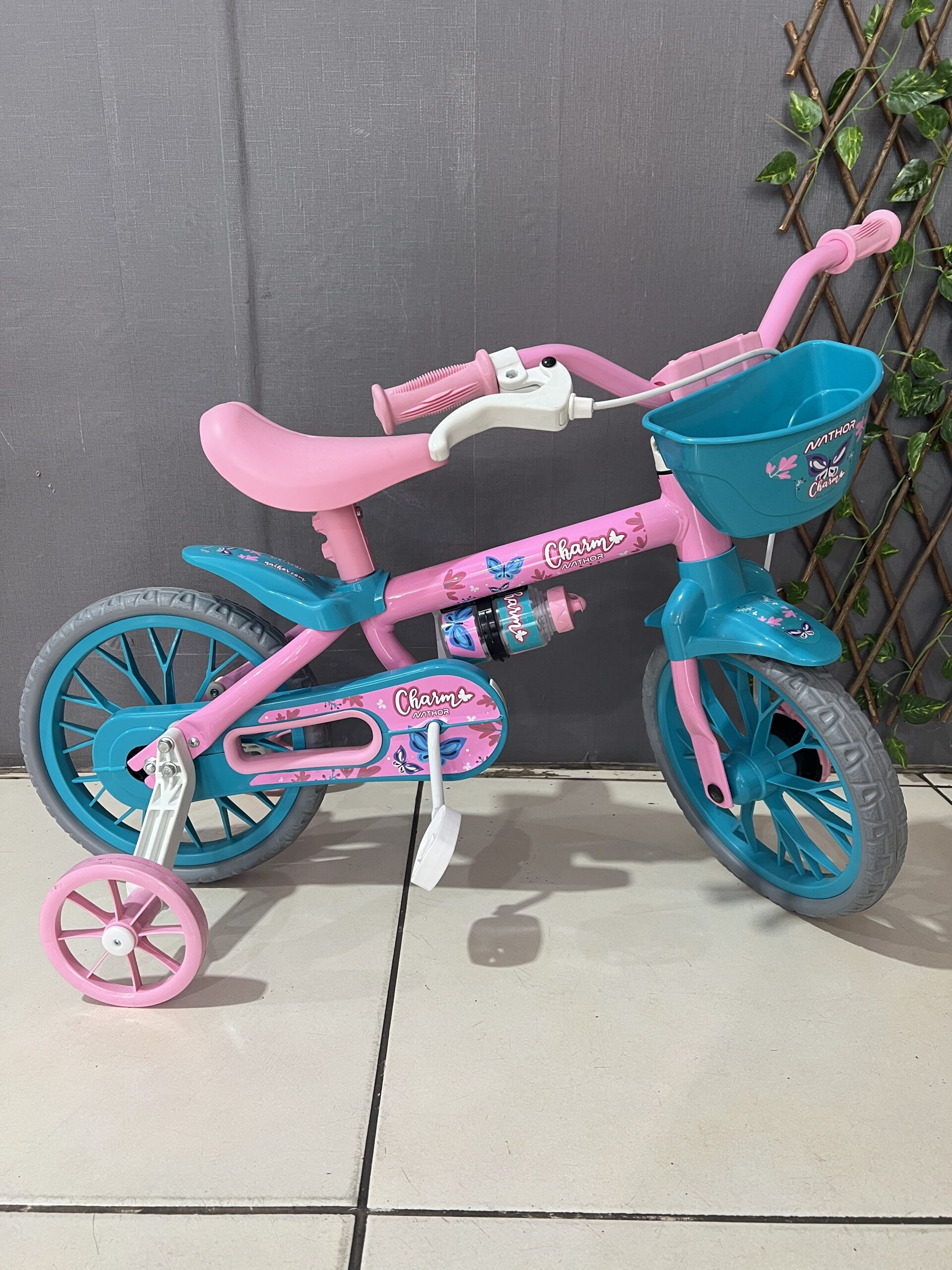 BICICLETA ARO 12 CHARM