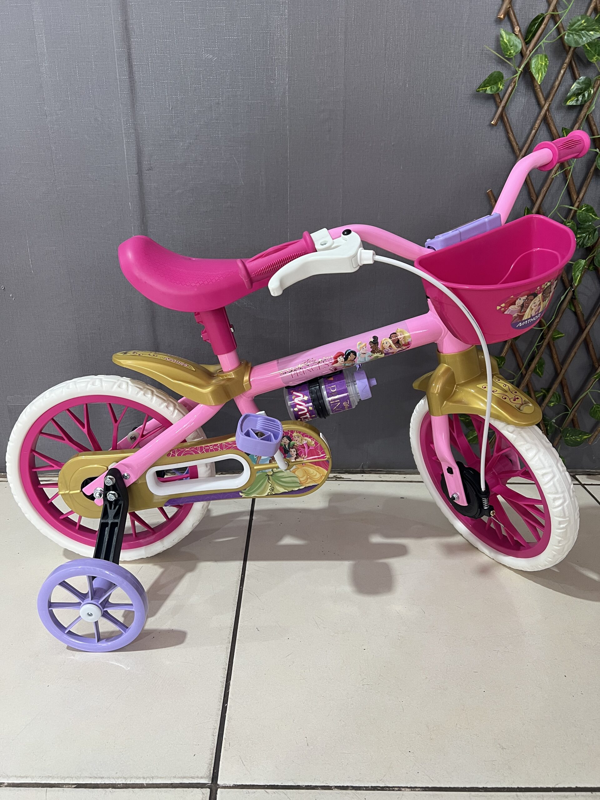 BICICLETA ARO 12 PRINCESAS