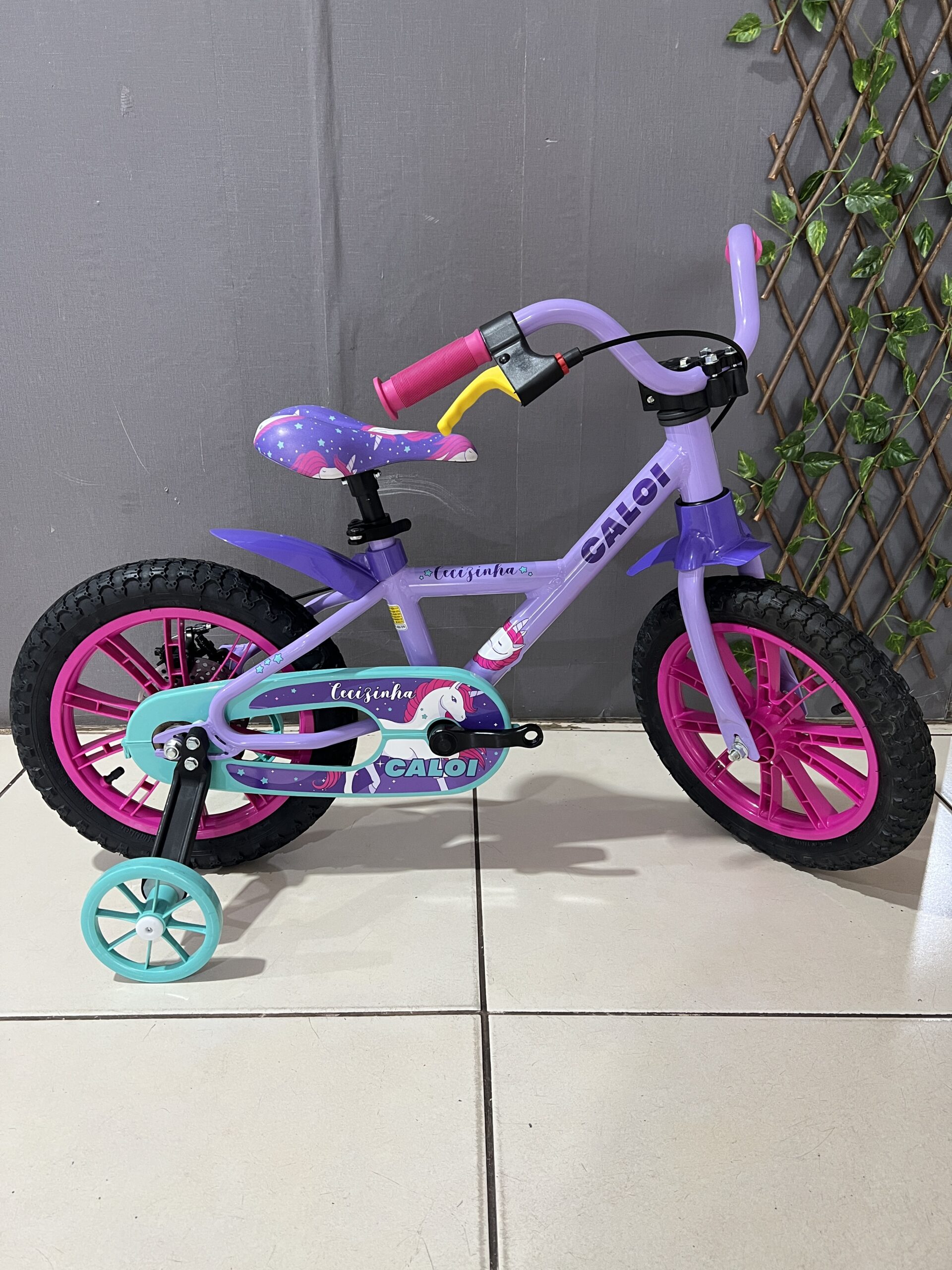 BICICLETA ARO 14 CECIZINHA