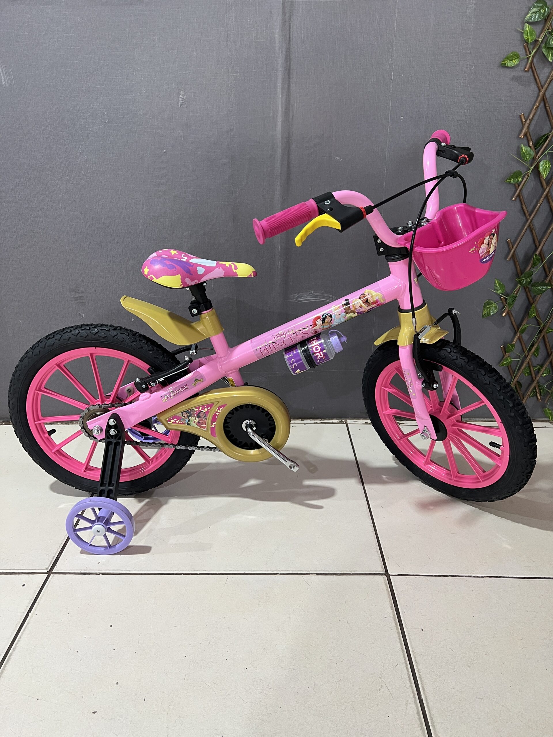 BICICLETA ARO 16 PRINCESAS