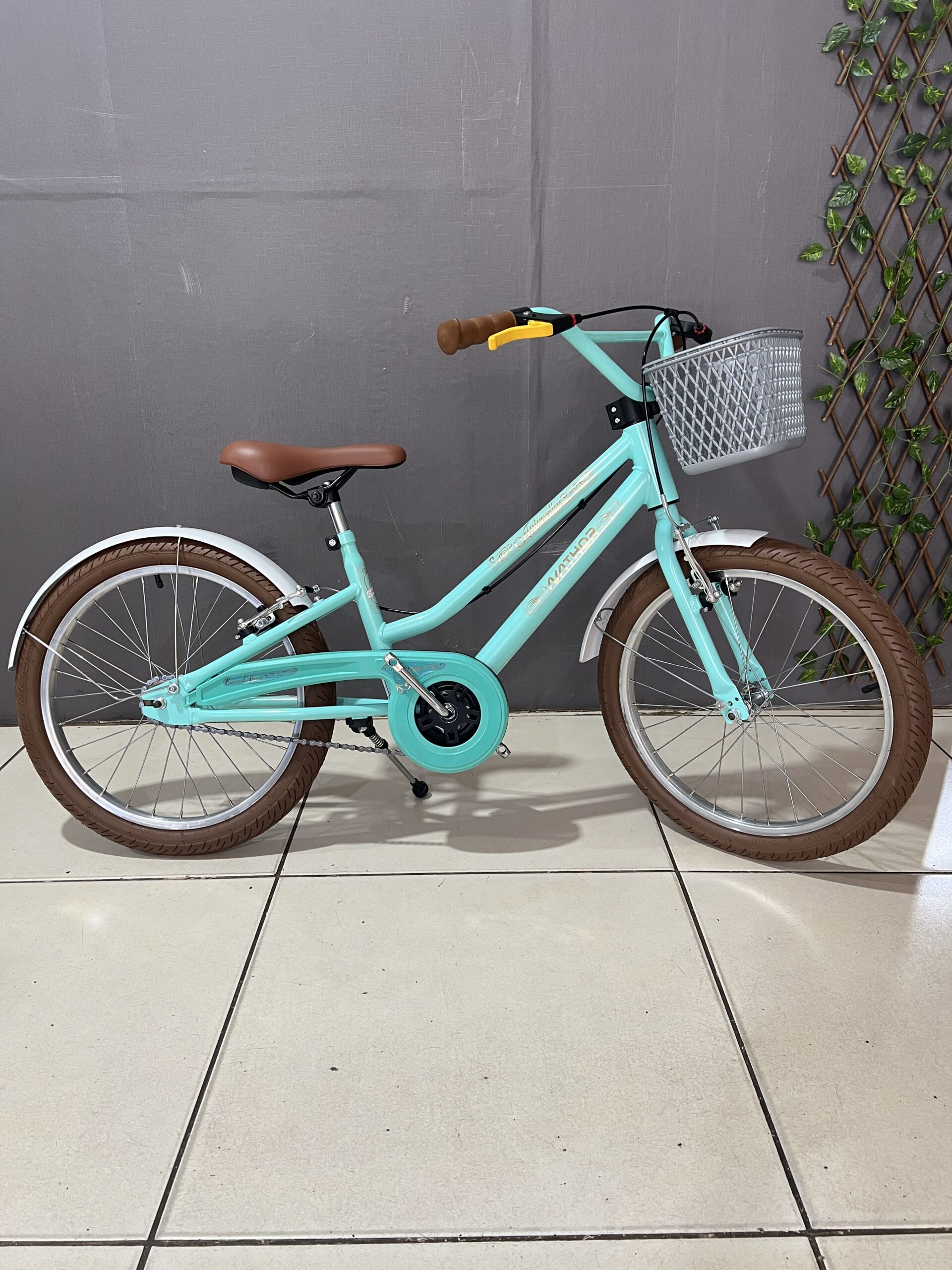 BICICLETA ARO 20 ANTONELLA TEEN